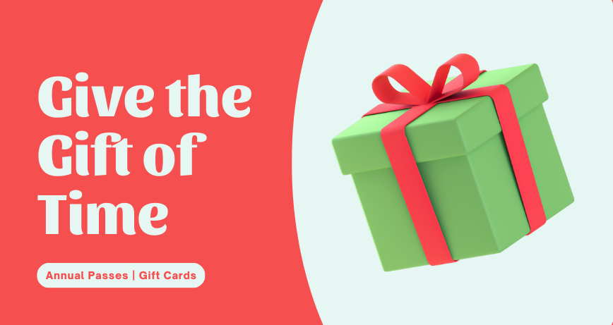 Give the gift of time